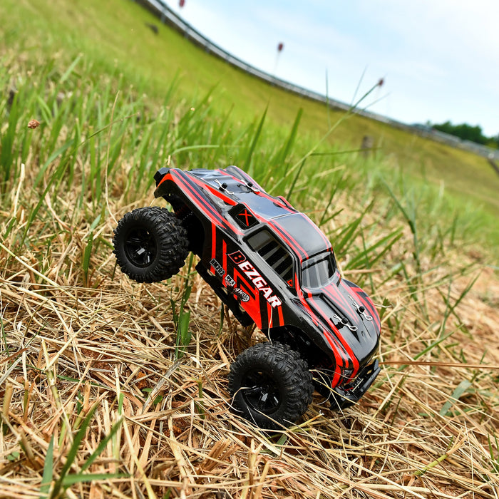 HM202 rc car running on the grass